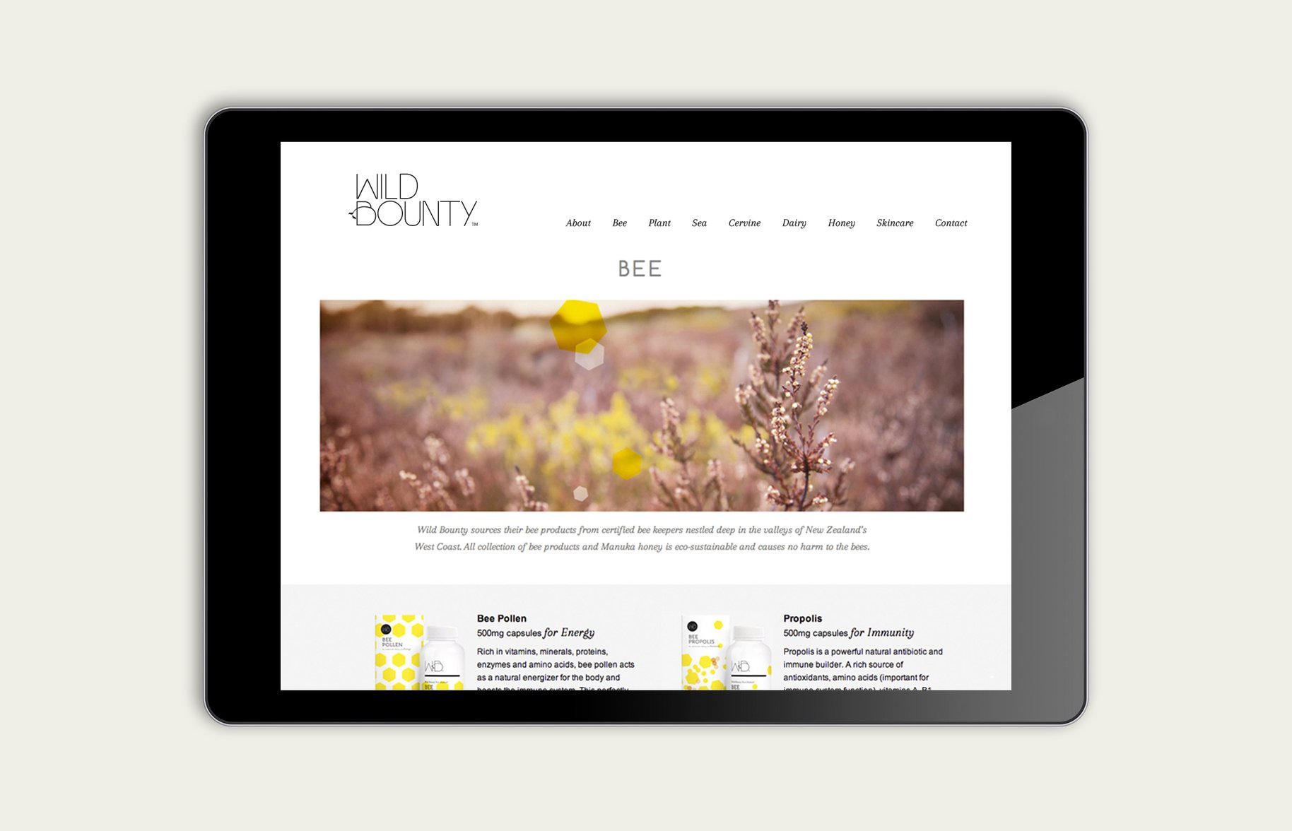 Wild Bounty iPad website product