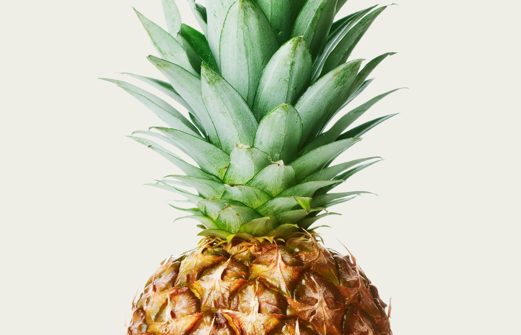 Dole Pineaple for Packaging Design 